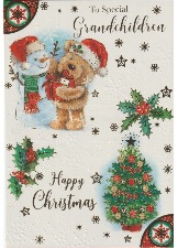 To Special Grandchildren